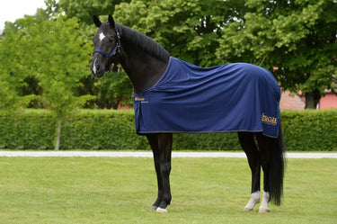 Bucas Power Prize Cooler Rug| Online For Equine