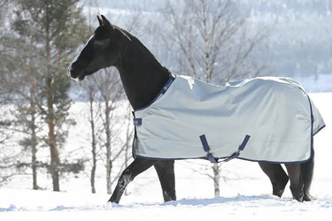 Bucas Power Turnout Extra Rug| Online For Equine
