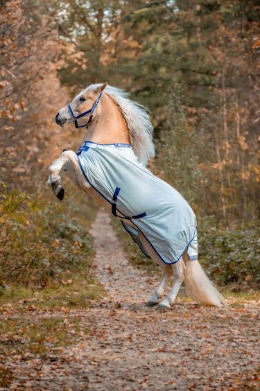 Bucas Power Turnout Light Big Neck Rug| Online For Equine