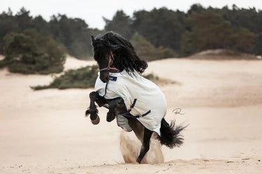 Bucas Power Turnout Light Big Neck Rug| Online For Equine