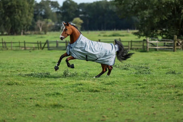 Bucas Power Turnout Light High Neck Rug| Online For Equine