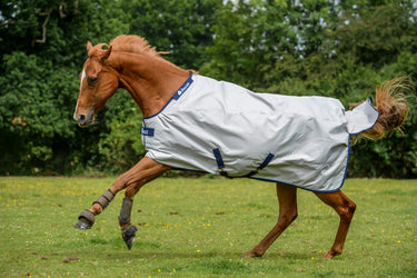 Bucas Power Turnout Light Rug| Online For Equine