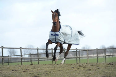 Bucas Power Turnout Light Rug| Online For Equine
