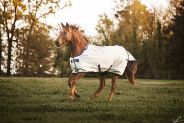 Bucas Power Turnout Medium Rug| Online For Equine