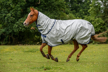 Bucas Power Turnout Neck Light| Online For Equine