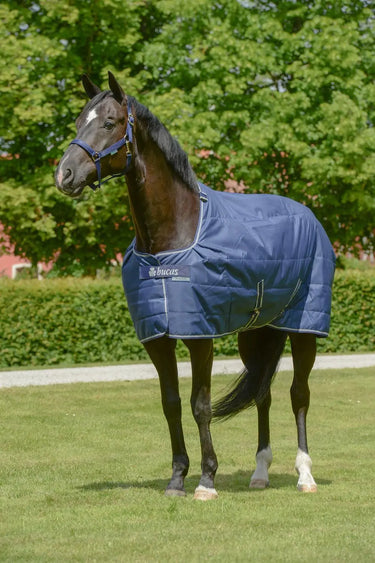 Bucas Quilt 150g Stay-Dry Pony Rug| Online For Equine
