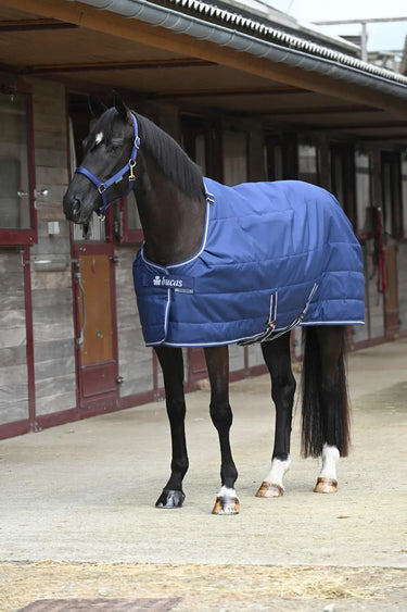 Bucas Quilt 50g Dermo-Care Navy Standard Neck Stable Rug| Online For Equine