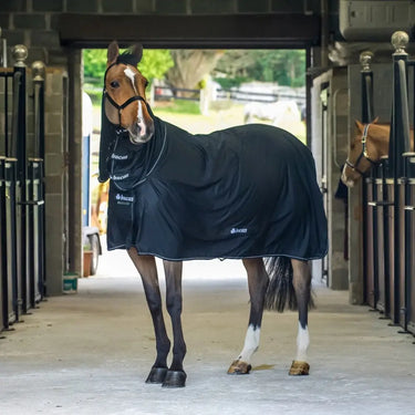 Buy Bucas Shamrock Power Multi Functional Combo Neck Rug| Online for Equine