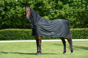 Bucas Shamrock Power Multi Functional Combo Neck Rug| Online For Equine