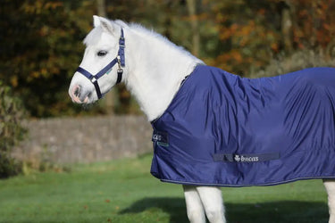 Bucas Shamrock Power Pony Rug| Online For Equine