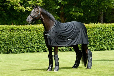 Bucas Shamrock Power Rug| Online For Equine
