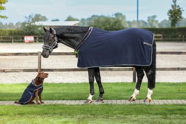 Bucas Show-Line Fleece 400g Rug| Online For Equine