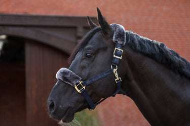 Bucas Show-Line Half Fur Halter| Online For Equine