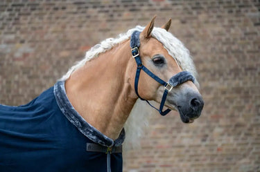 Bucas Show-Line Half Fur Halter| Online For Equine