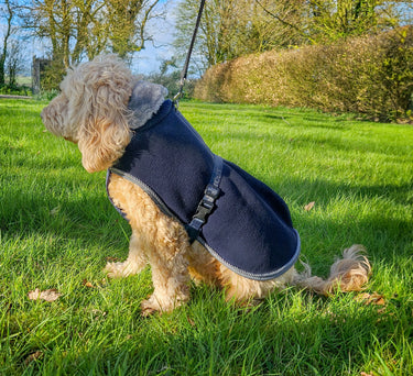 Bucas Show-Line Large Dog Rug| Online For Equine