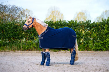 Bucas Show-Line Travel Boots| Online For Equine