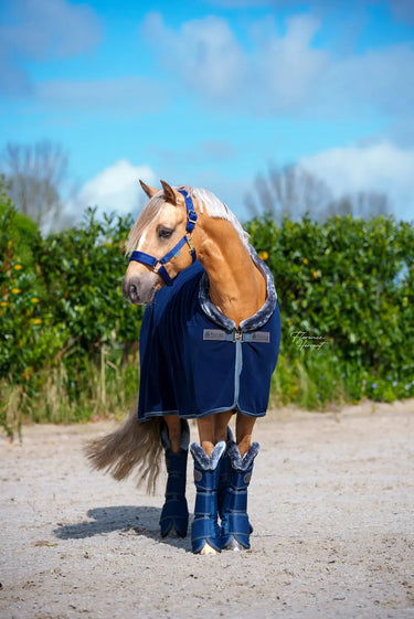 Bucas Show-Line Travel Boots| Online For Equine