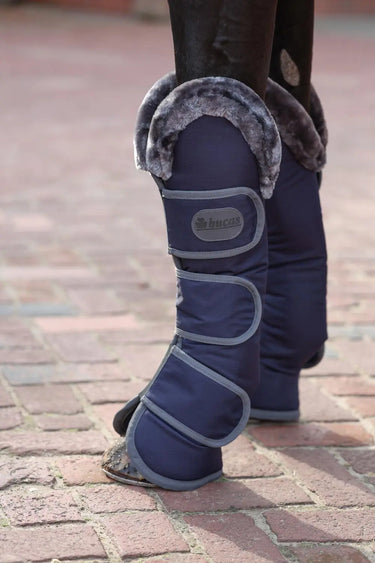 Bucas Show-Line Travel Boots| Online For Equine