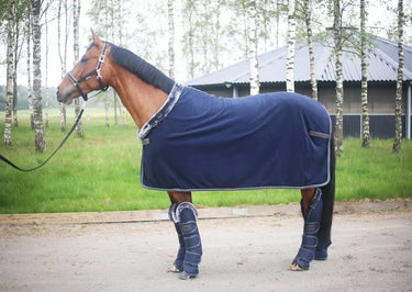 Bucas Show-Line Travel Boots| Online For Equine