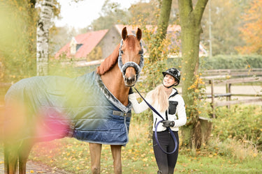 Bucas Show-line Stable Rug| Online For Equine
