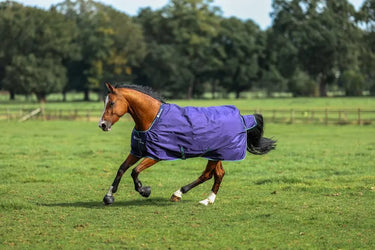 Bucas Smartex Rain Horse Rug Blue| Online For Equine