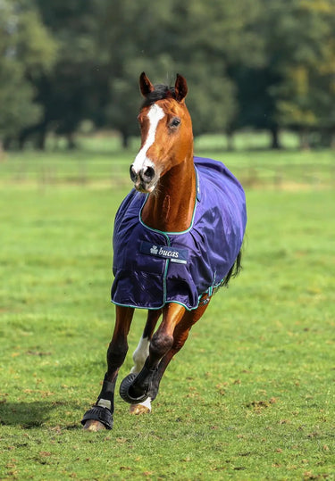 Bucas Smartex Rain Pony Rug Blue| Online For Equine