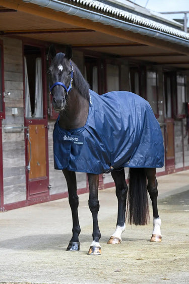 Bucas Stable Sheet Rug| Online For Equine