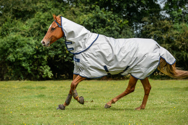 Bucas Sun Shower Neck| Online For Equine
