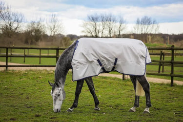 Bucas Sun Shower Rug| Online For Equine