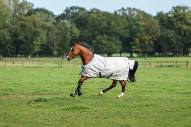 Bucas Sun Shower Rug| Online For Equine