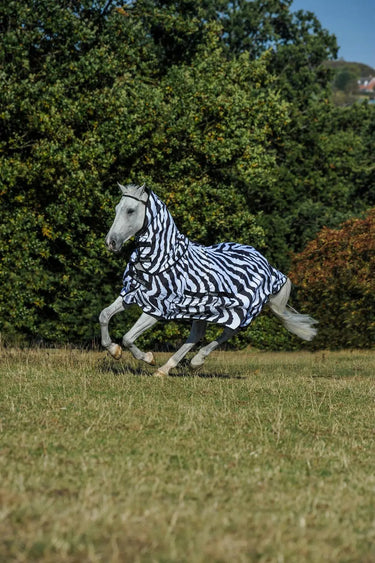 Bucas Sweet Itch Zebra Print Pony Rug| Online For Equine
