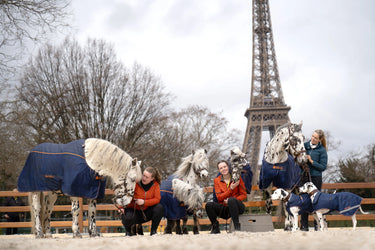 Bucas Therapy Cooler Rug| Online For Equine