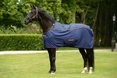 Bucas Therapy Cooler Rug| Online For Equine