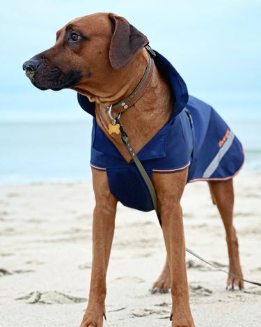 Bucas Therapy Large Dog Rug 150g| Online For Equine