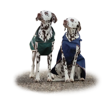 Bucas Therapy Large Dog Rug 150g| Online For Equine
