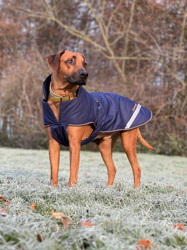 Bucas Therapy Large Dog Rug| Online For Equine