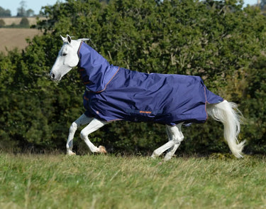 Bucas Therapy Mesh Neck| Online For Equine