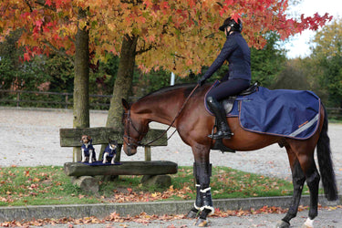 Bucas Therapy Quarter Sheet Rug| Online For Equine