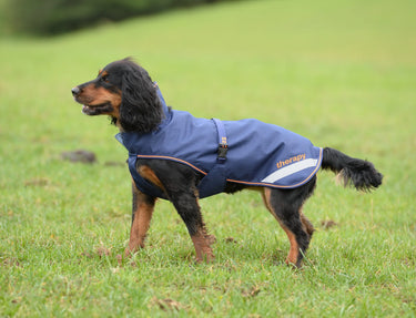 Bucas Therapy Small Dog Rug 150g| Online For Equine