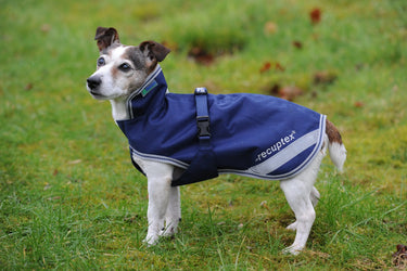 Bucas Therapy Small Dog Rug| Online For Equine