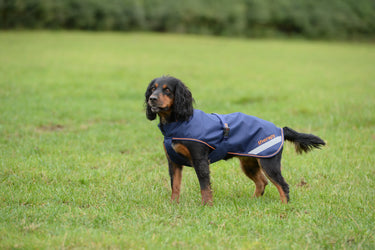 Bucas Therapy Small Dog Rug| Online For Equine
