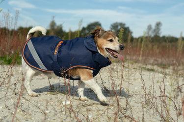 Bucas Therapy Small Dog Rug| Online For Equine