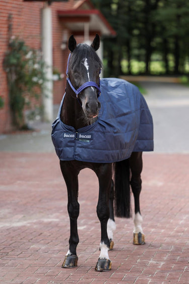 Bucas Liner 100g Rug