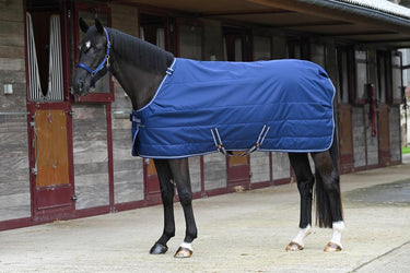 Bucas Quilt 150g Stay-Dry Big Neck Rug