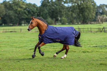 Bucas Therapy Turnout 150g Rug