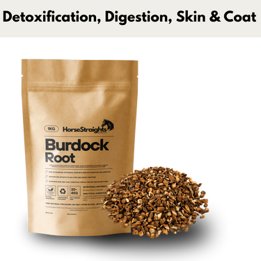 Burdock Root| Online For Equine