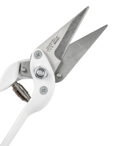 Buy Burgon & Ball Footrot Shears Plain | Online for Equine
