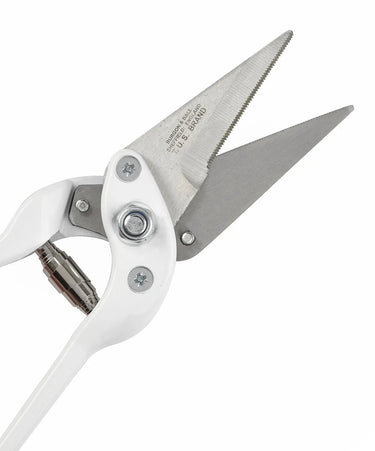 Buy Burgon & Ball Footrot Shears Serrated | Online for Equine