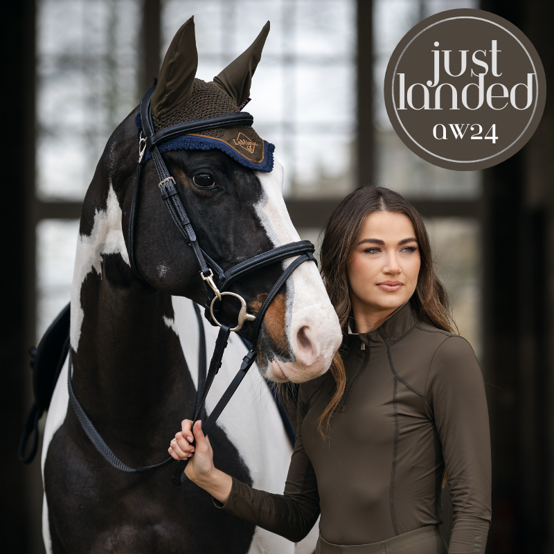 Buy horse equipment online discount