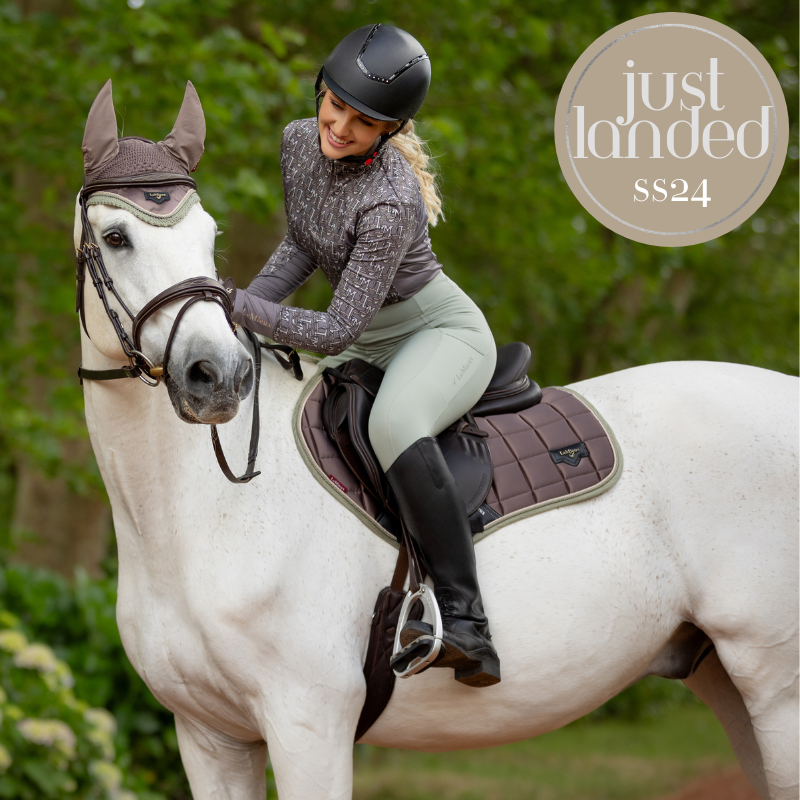 Discount top equine supplies